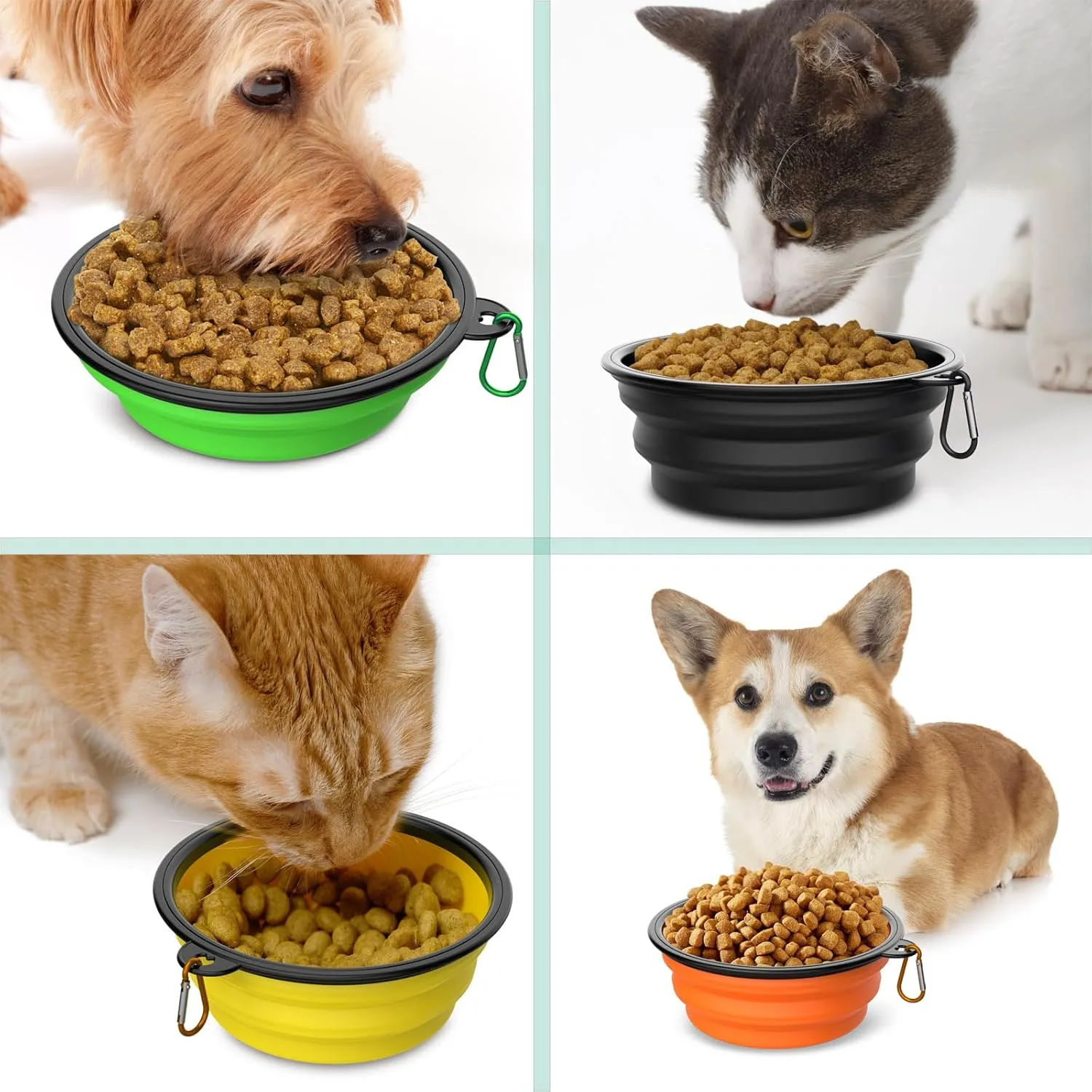 2 Pack Collapsible Dog Bowl Travel Portable Pet Bowls [20oz,600ml],Expandable Foldable Food Water Feeding Dishes for Traveling Hiking Walking,with Carabiners [Green,Blue]