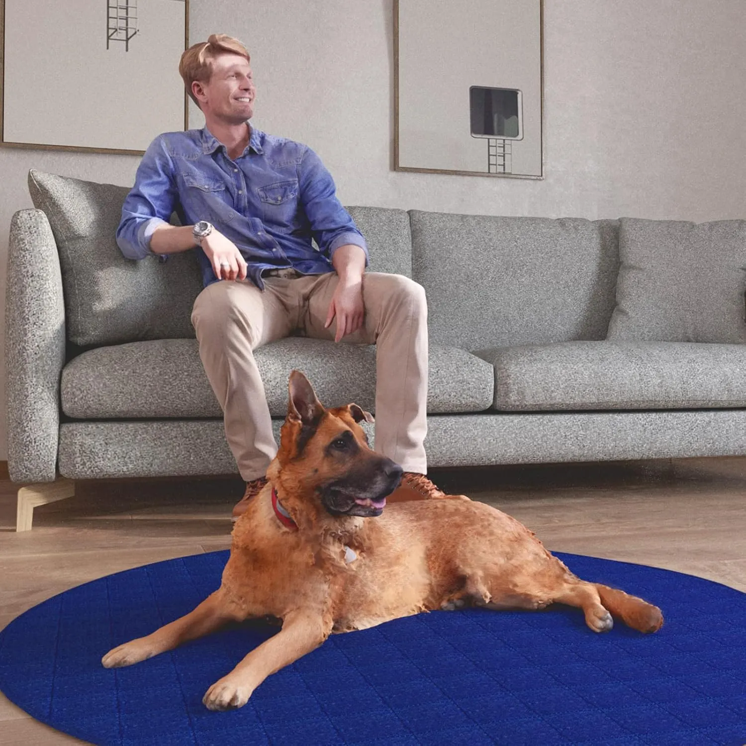 2 Pack Washable Pee Pads for Dogs, Reusable 36" Round Whelping Pads, Whelping Box for Dogs, Puppy Training Pads with Non-Slip Back for Playpen/Crate, Dog Housebreaking Absorption Pad