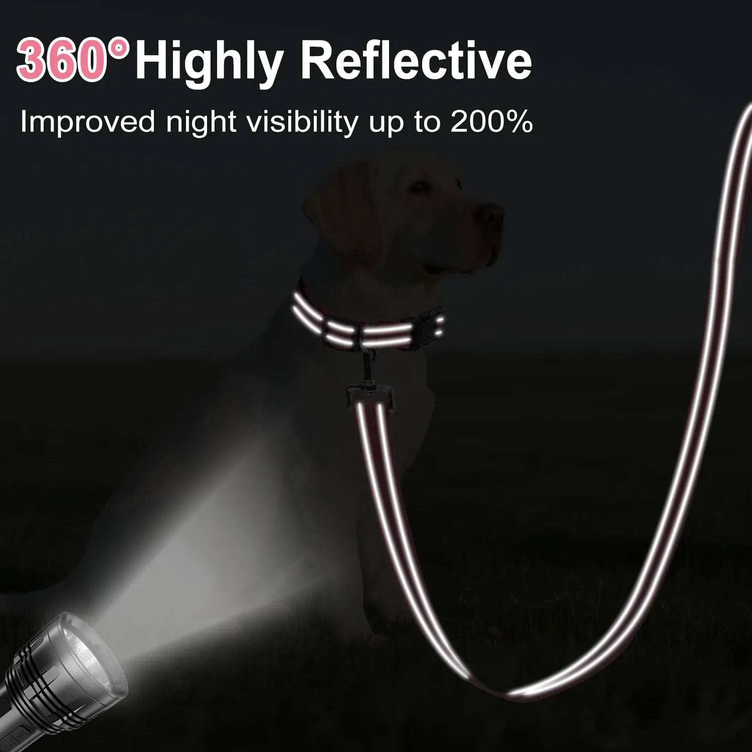 6FT Reflective Nylon Dog Leash with Soft Padded Handle for Walking, Running and Training, Supports Small Medium and Large Dogs (Neon Pink, 3/4Inch Wide)