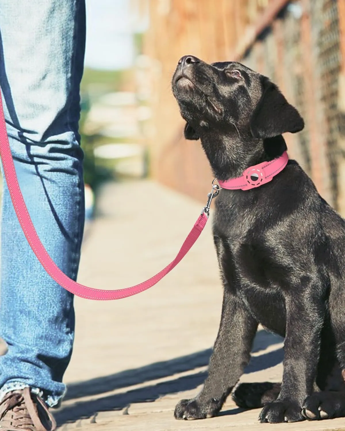 6FT Reflective Nylon Dog Leash with Soft Padded Handle for Walking, Running and Training, Supports Small Medium and Large Dogs (Neon Pink, 3/4Inch Wide)