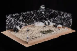 Acrylic Guinea Pig Cages - 3x2ft Small Animal Cage | DIY Extendable | Easy-to-Clean Disposable Bottom (Without Lid)