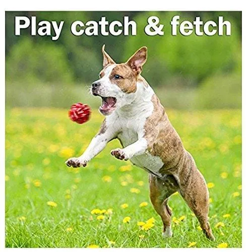 AMZpets 10 Most Popular Dog Toys for Small Dogs & Puppies. Squeaky Toys | Rope Toys | Plush Games | Chewing Ropes | Balls | Rubber Bone | Carry Bag. Variety Playing Set for Toss & Tug Play.