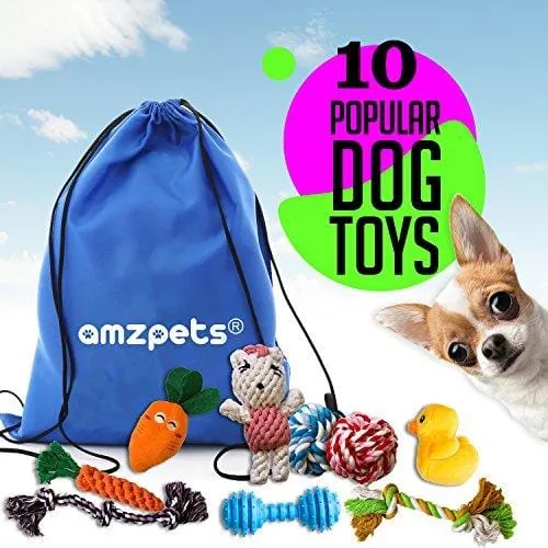 AMZpets 10 Most Popular Dog Toys for Small Dogs & Puppies. Squeaky Toys | Rope Toys | Plush Games | Chewing Ropes | Balls | Rubber Bone | Carry Bag. Variety Playing Set for Toss & Tug Play.