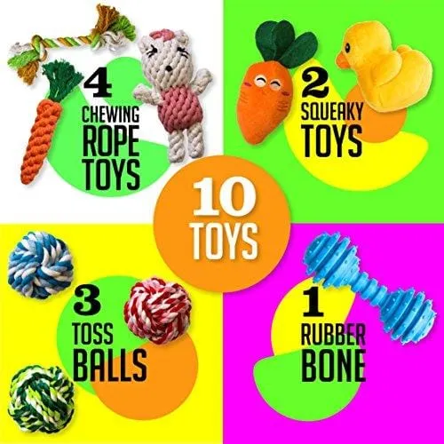 AMZpets 10 Most Popular Dog Toys for Small Dogs & Puppies. Squeaky Toys | Rope Toys | Plush Games | Chewing Ropes | Balls | Rubber Bone | Carry Bag. Variety Playing Set for Toss & Tug Play.