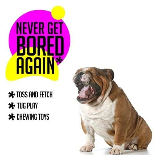 AMZpets 10 Most Popular Dog Toys for Small Dogs & Puppies. Squeaky Toys | Rope Toys | Plush Games | Chewing Ropes | Balls | Rubber Bone | Carry Bag. Variety Playing Set for Toss & Tug Play.