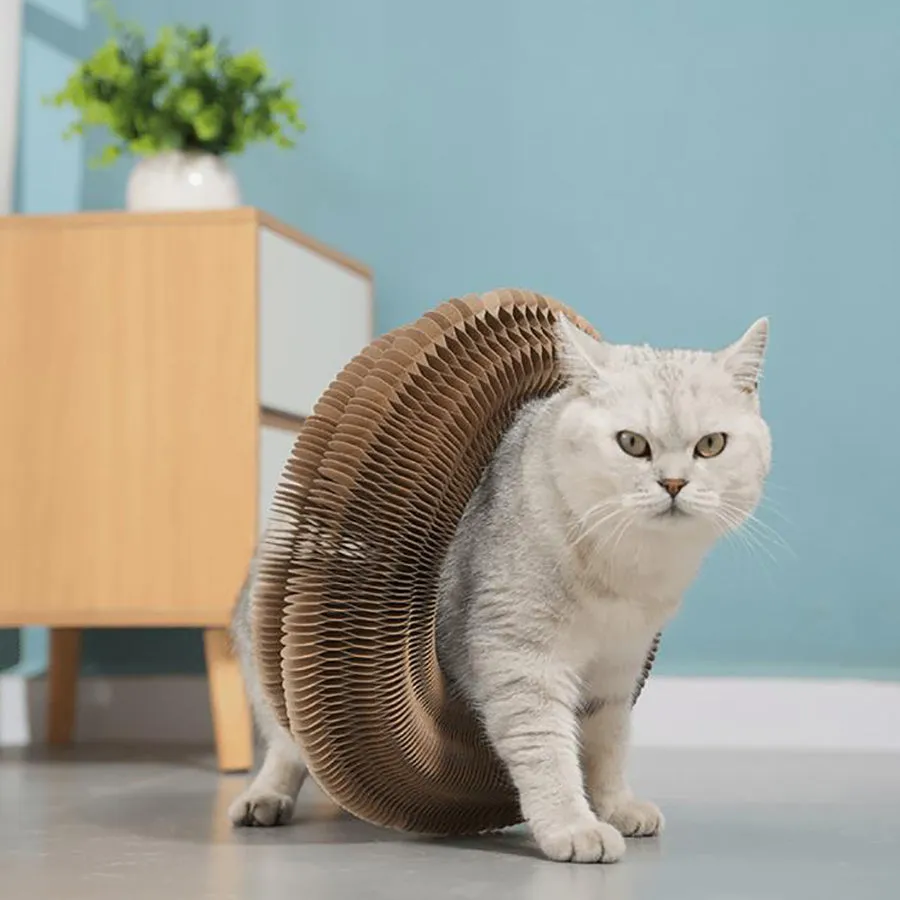 Animal Print Deformable Cat Scratcher with Bell - APS23