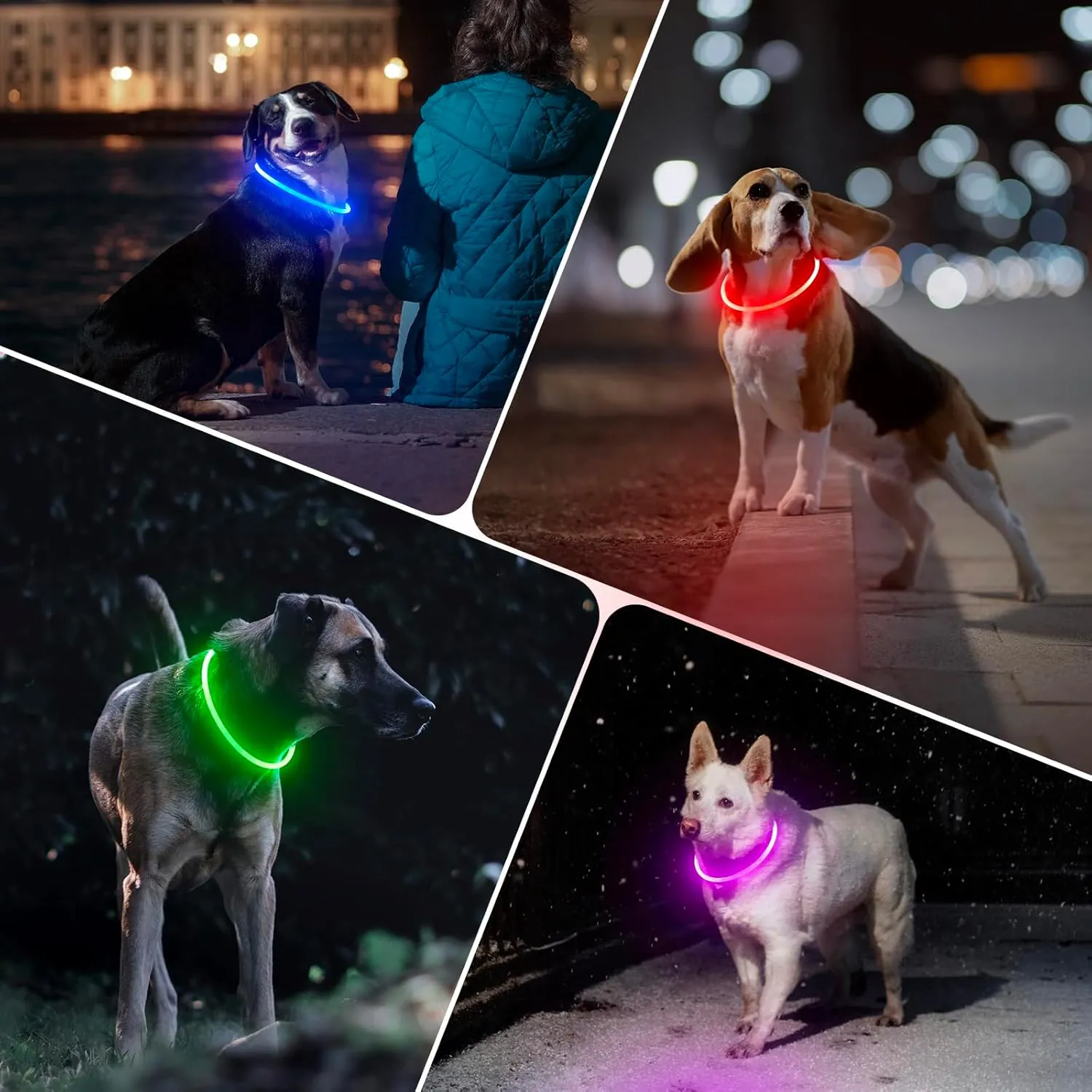 BSEEN Light Up Dog Collar - Rechargeable LED Dog Collar - 360 Glow in The Dark Pet Collar for Small Medium Large Dogs, TPU Cuttable Puppy Collar Safety Dog Lights for Night Walking (Red 70cm)