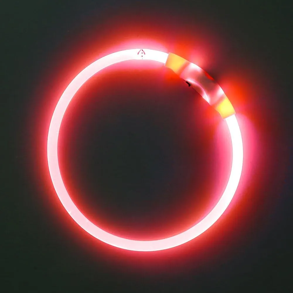 BSEEN Light Up Dog Collar - Rechargeable LED Dog Collar - 360 Glow in The Dark Pet Collar for Small Medium Large Dogs, TPU Cuttable Puppy Collar Safety Dog Lights for Night Walking (Red 70cm)