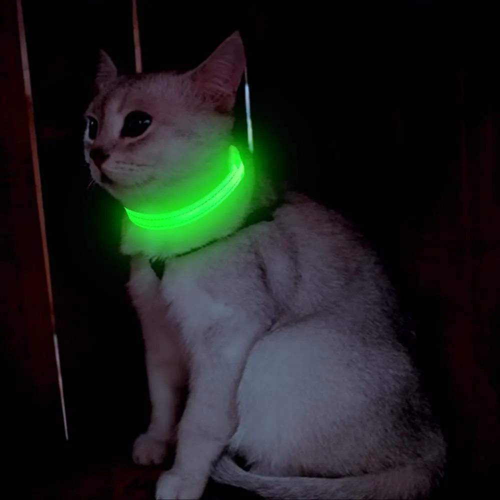 Candofly Light Up Dog Collar - LED Dog Collar Rechargeable - Glowing Puppy Collar Dog Lights for Night Walking (X-Small, Neon Green)