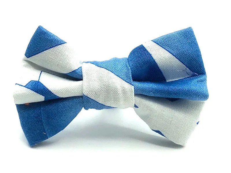 Cat & Kitten Collar Range "Scotland"