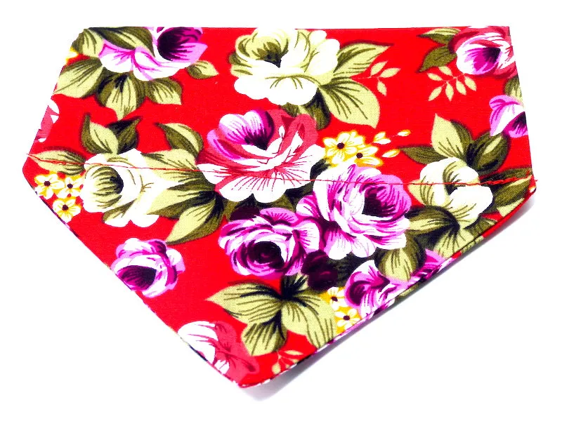 Cat & Kitten Range "Cherry Bakewell"