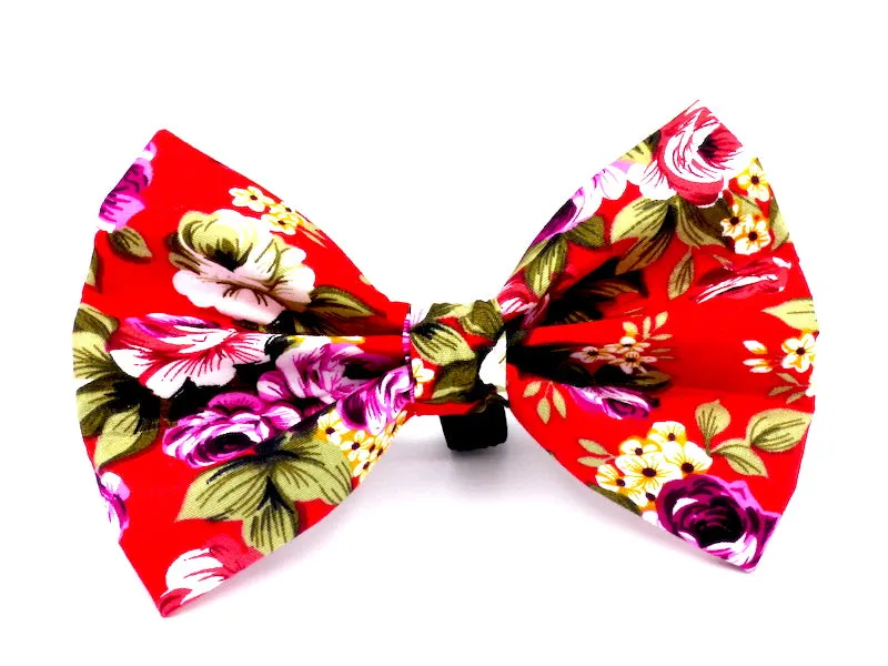 Cat & Kitten Range "Cherry Bakewell"