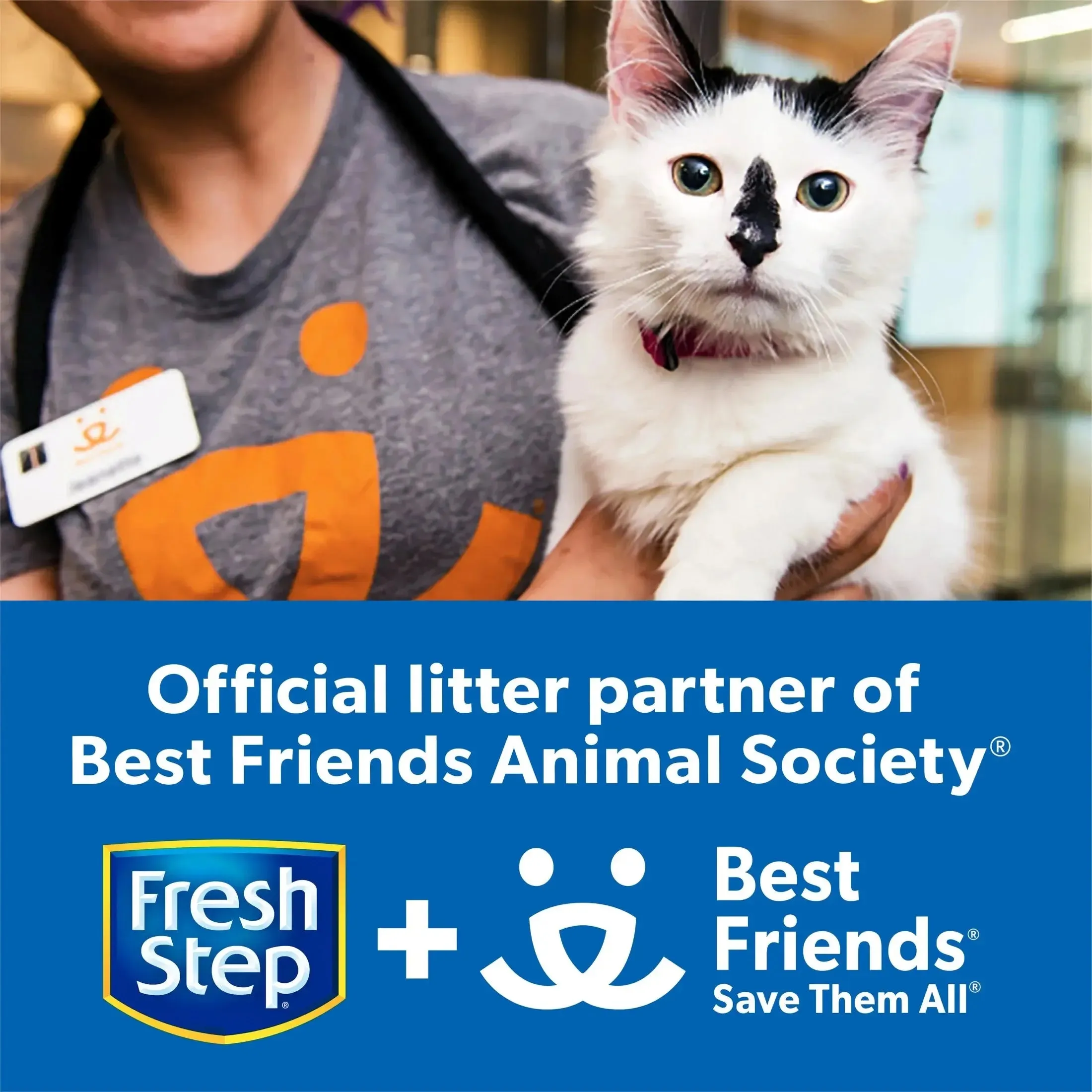 Cat litter Simply Unscented Clumping Cat Litte