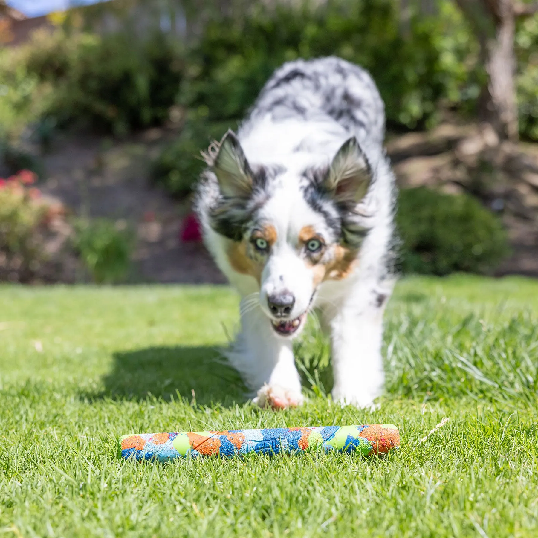 Chuckit! EcoFetch Recycled Rubber Fetch Stick