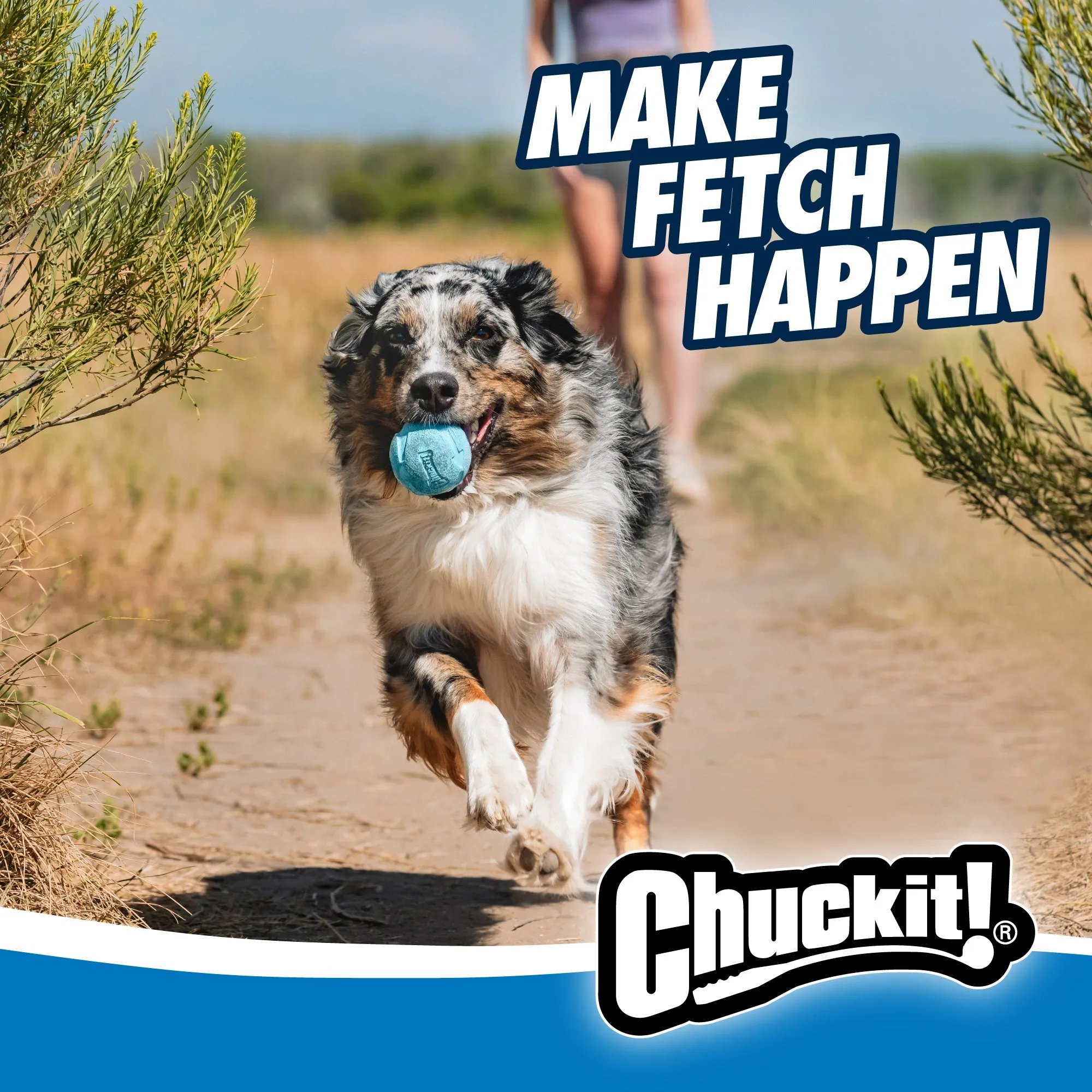 Chuckit! Rebounce Fetch Ball