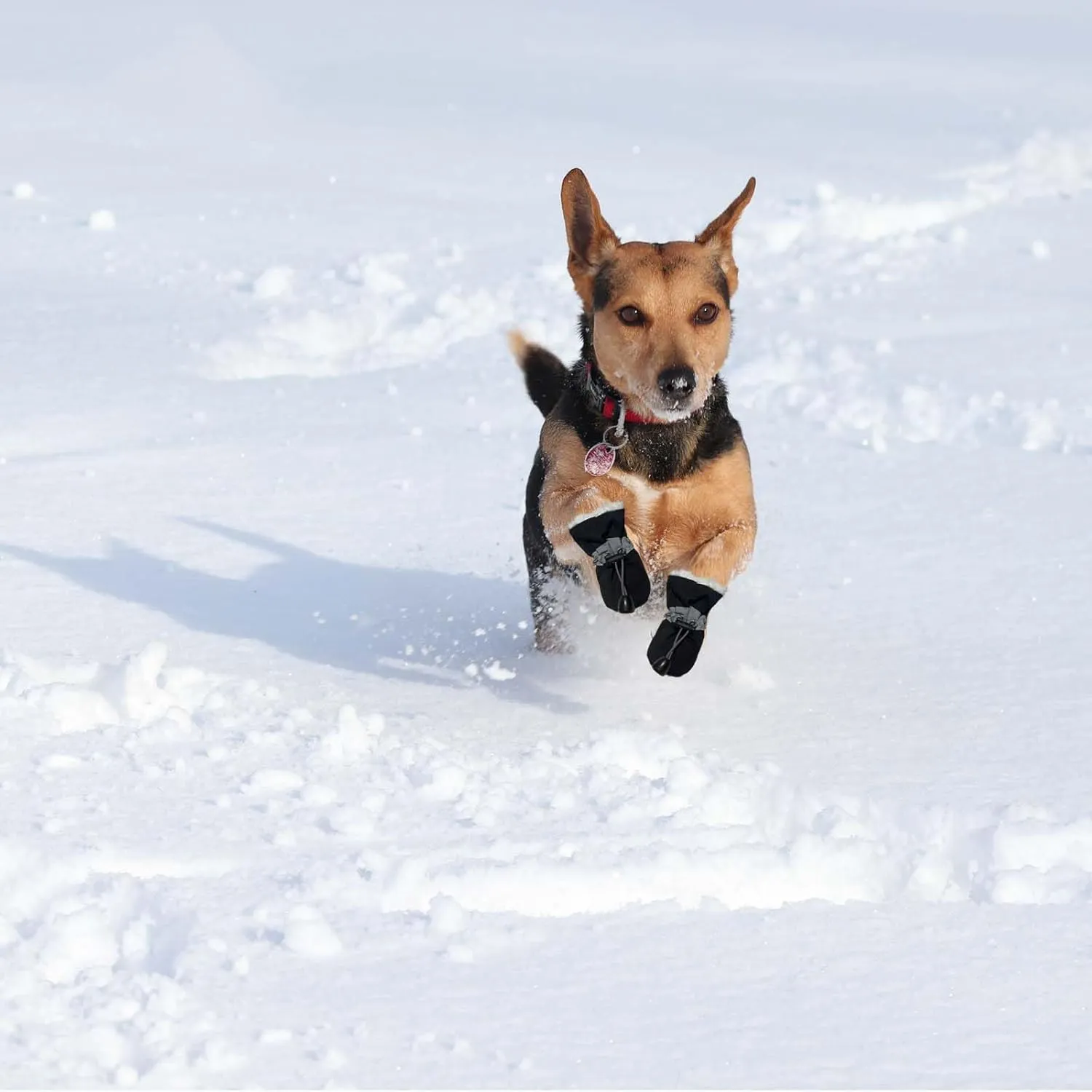 Dog Boots Dog Snow Boots for Winter, Dog Winter Boots Dogs with Anti-Slip Sole and Plush,Boots & Paw Protecto with Reflective Straps for Small Medium Dogs 4PCS