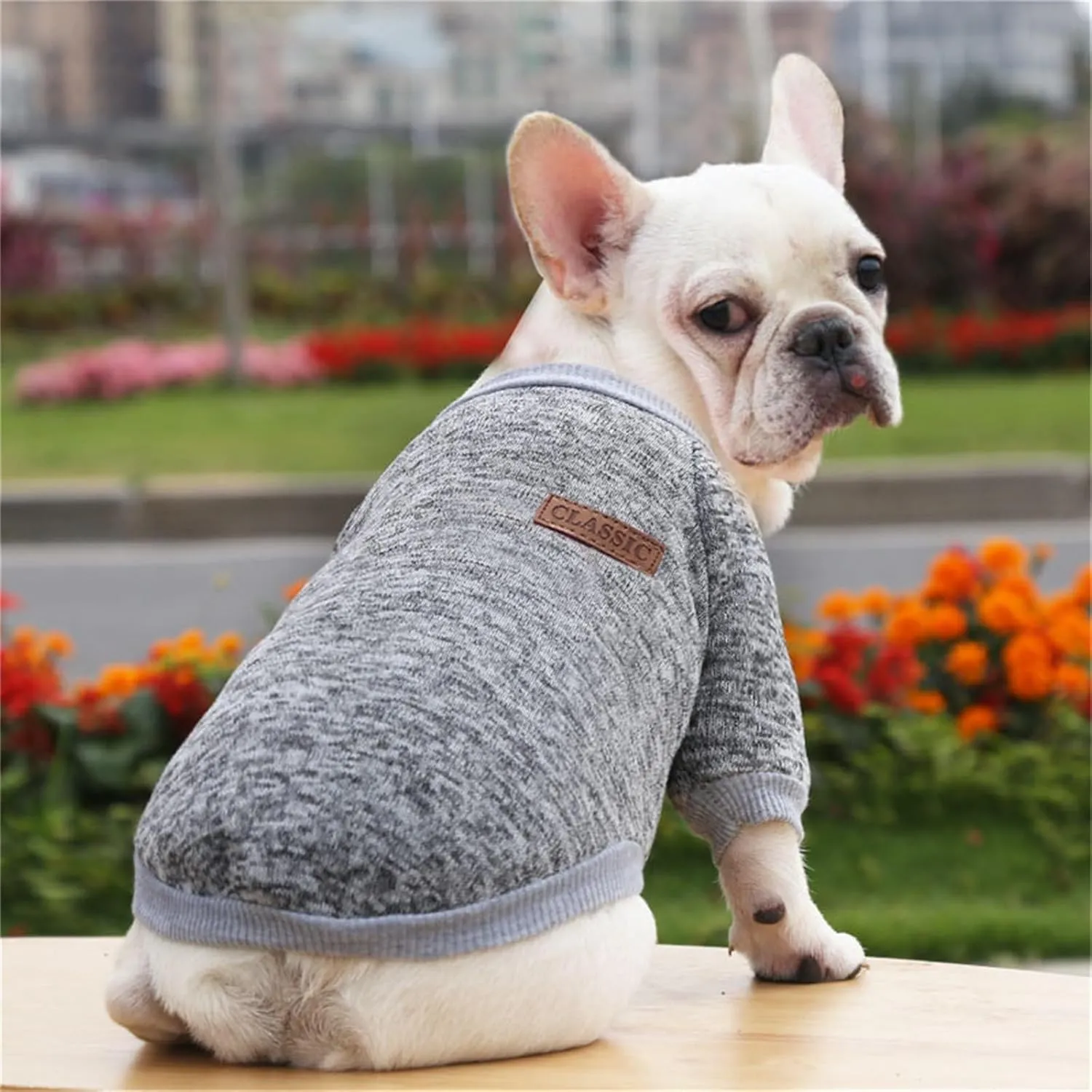 Dog Sweaters for Small/Medium/Large Dogs Stylish Cat Sweater Warm Pet Apparel for Spring/Fall/Winter(Grey, L)