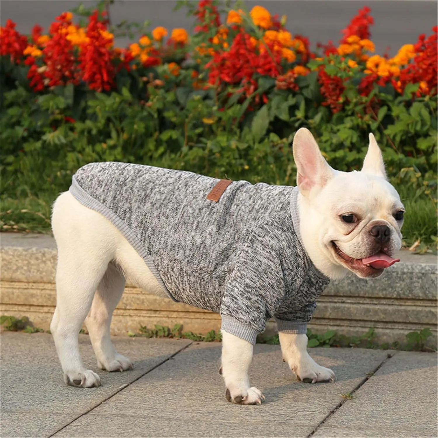 Dog Sweaters for Small/Medium/Large Dogs Stylish Cat Sweater Warm Pet Apparel for Spring/Fall/Winter(Grey, L)