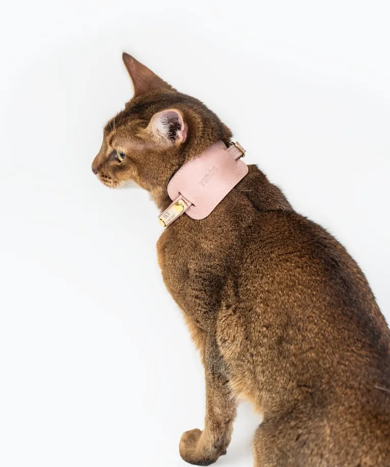 Dusty rose leather cat collar
