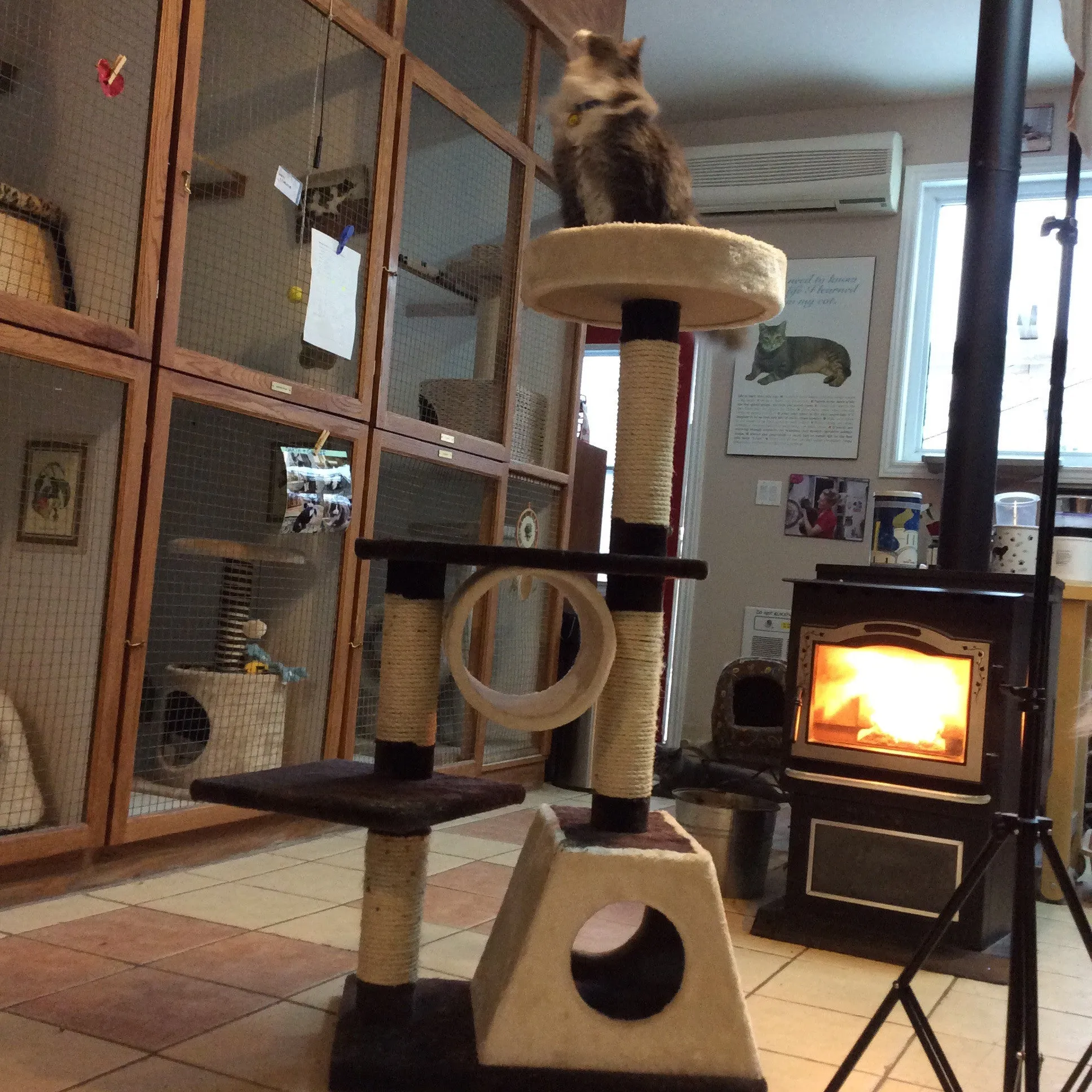 Jupiter - Multi-level Cat Condo SALE 60% OFF