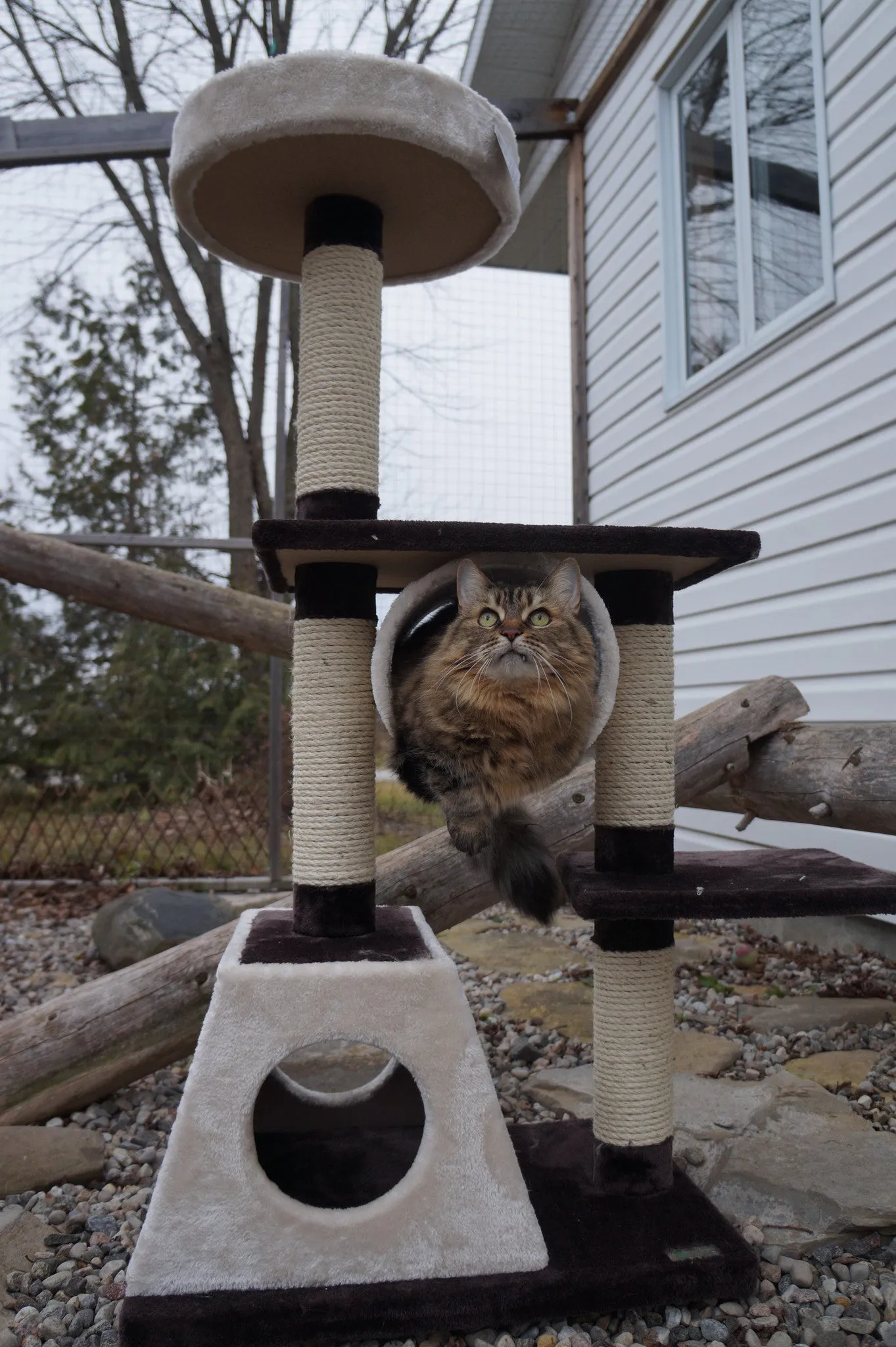 Jupiter - Multi-level Cat Condo SALE 60% OFF