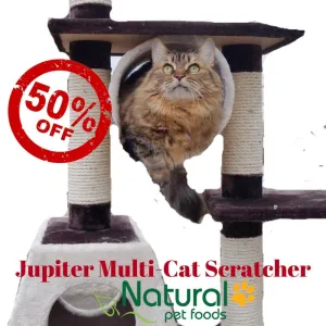 Jupiter - Multi-level Cat Condo SALE 60% OFF