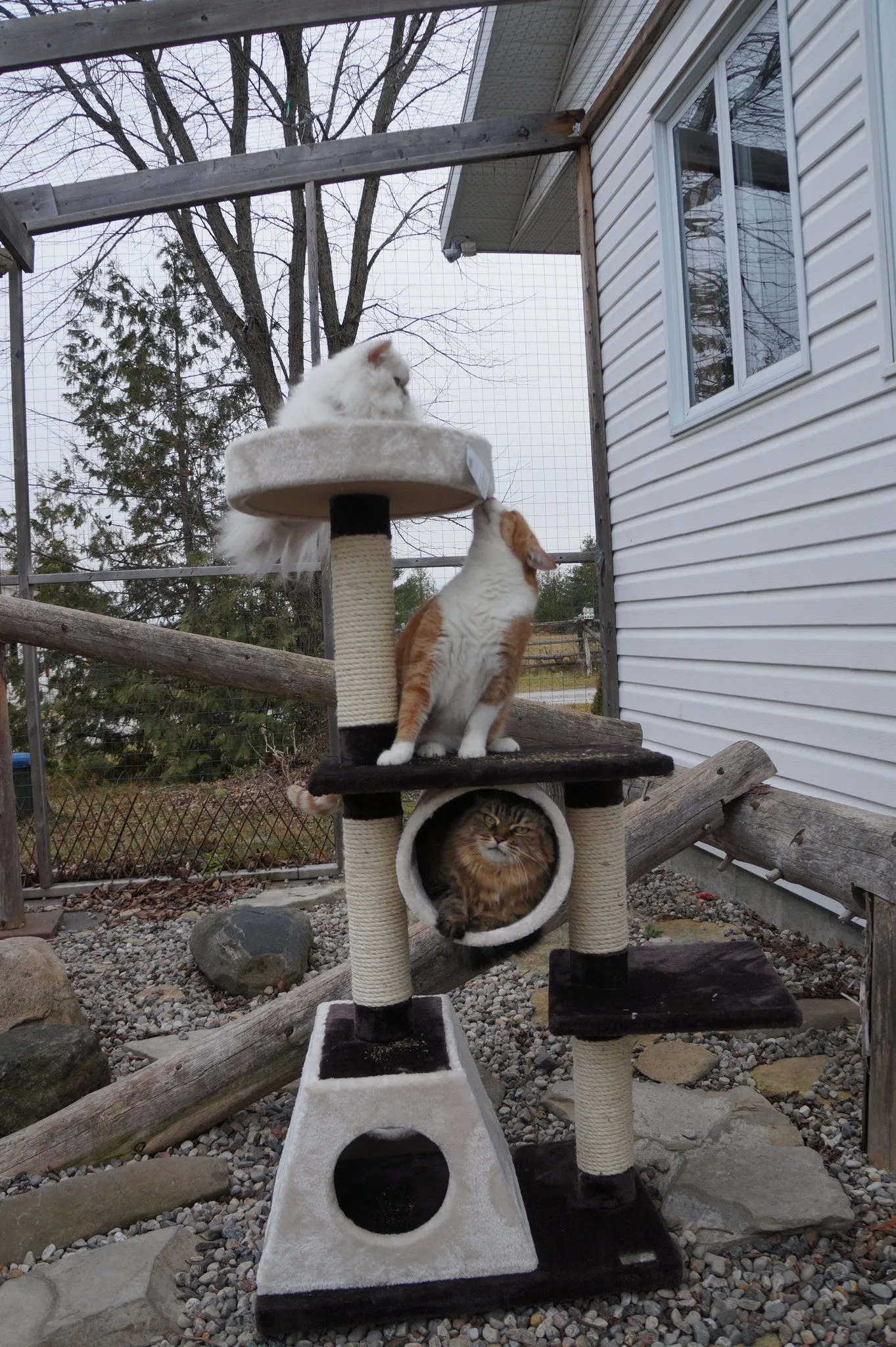 Jupiter - Multi-level Cat Condo SALE 60% OFF