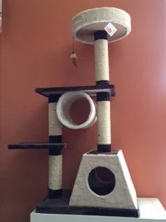 Jupiter - Multi-level Cat Condo SALE 60% OFF