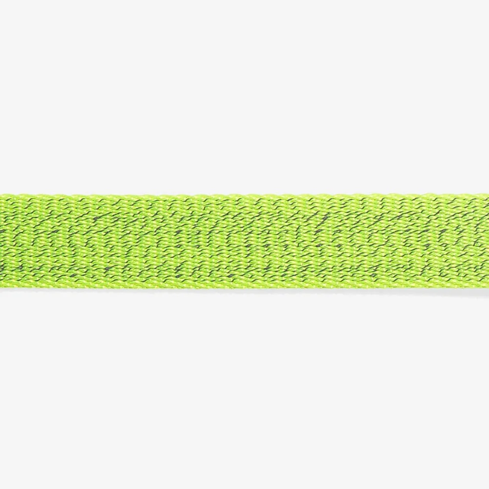 Nox Lumen Cat Collar
