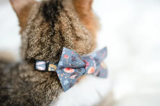 Personalized Cat Collar | Purple Floral Cat Collar | Duke & Fox®