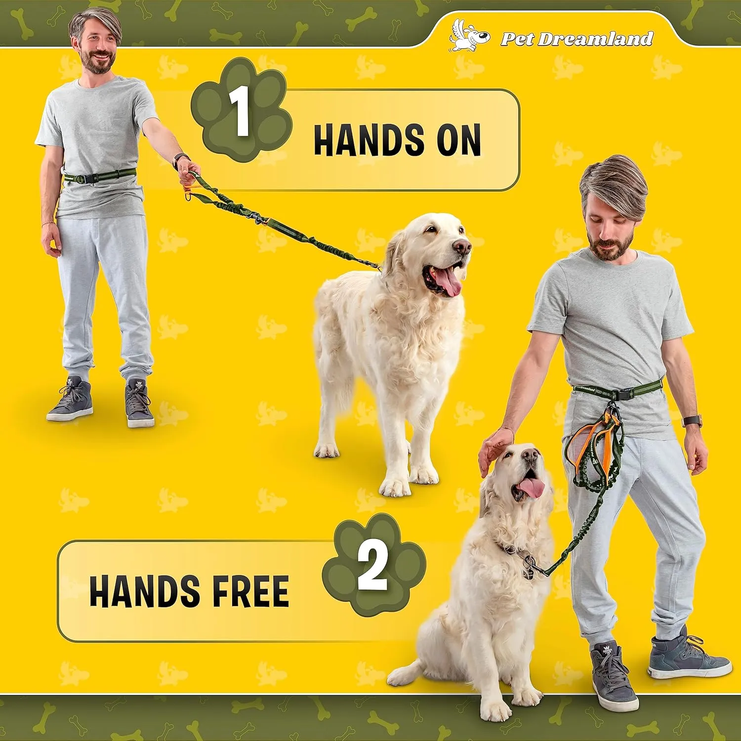 Pet Dreamland Trending    ()
