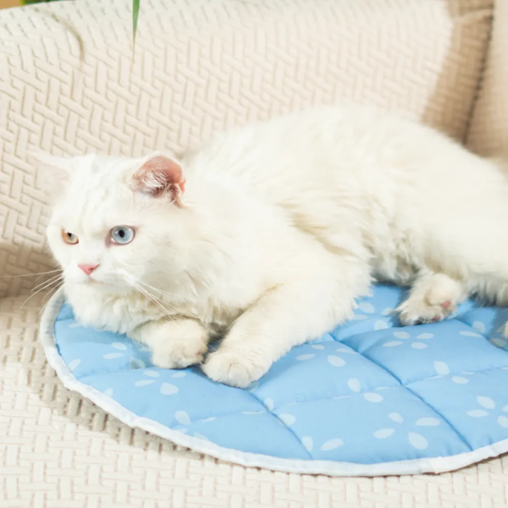 Pet Set Go Sky Bloom Mat for Cats (Green)