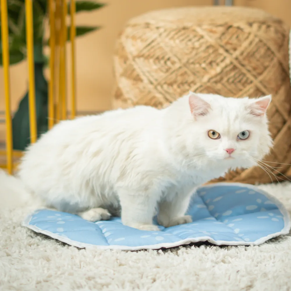 Pet Set Go Sky Bloom Mat for Cats (Green)