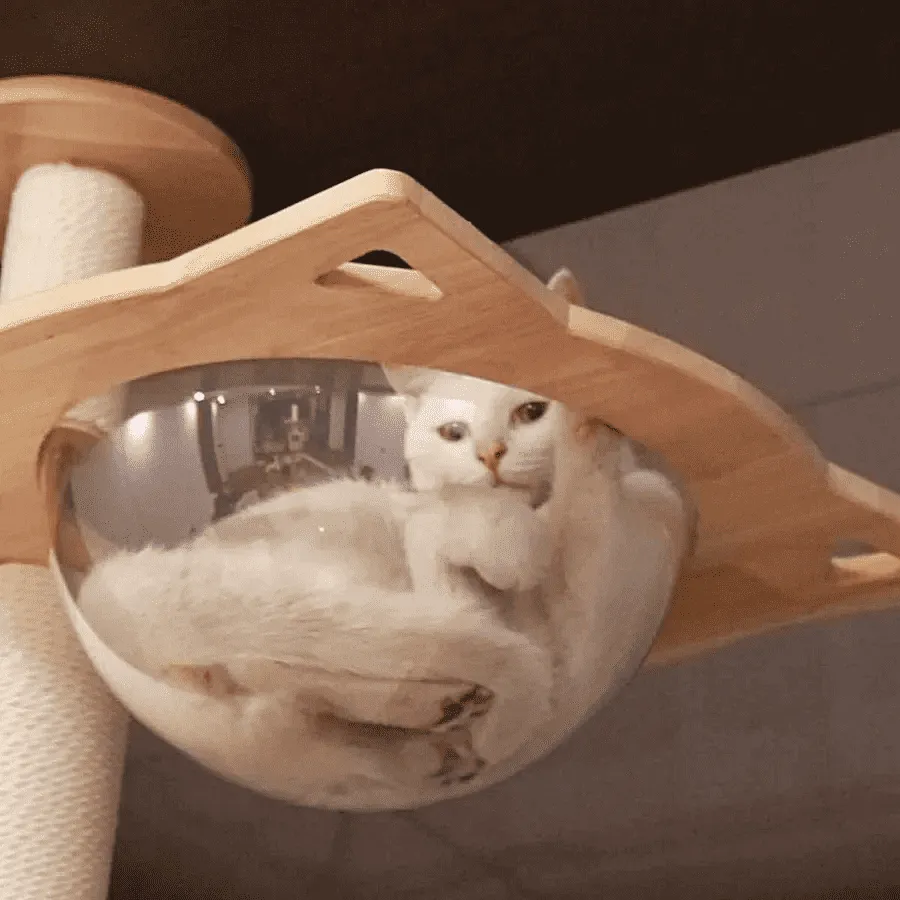 PETOMG Rubber Wood Ceiling to Floor Cat Tree, No Drilling, Adjustable Height (90.6'' - 110.2'')