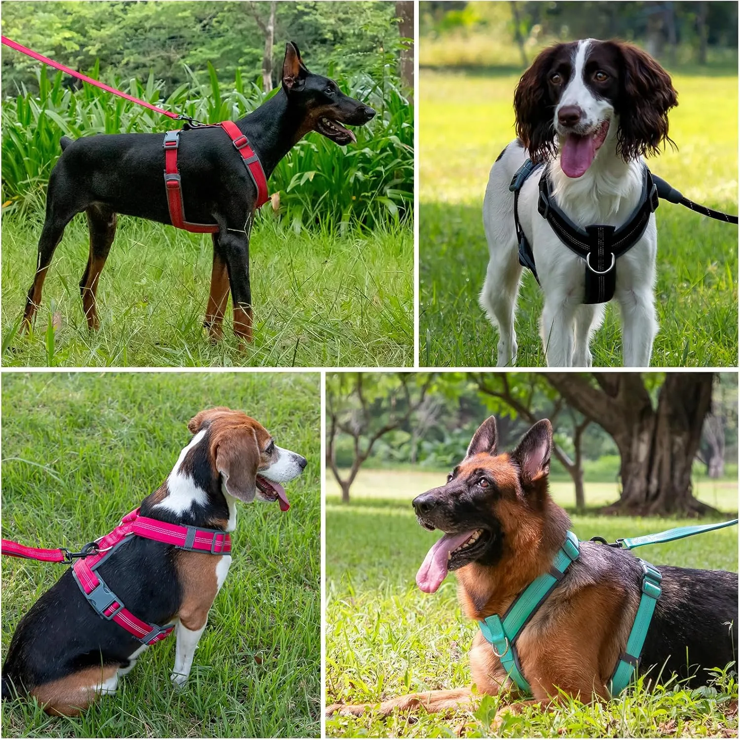 Plutus Pet No Pull ,,,,(,M )