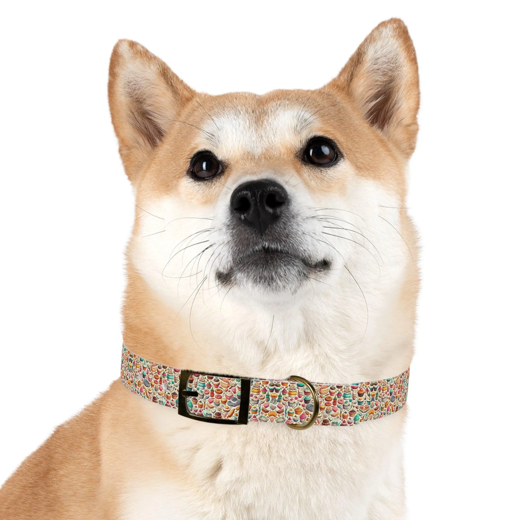 Sugar Rush Designs Dog Collar