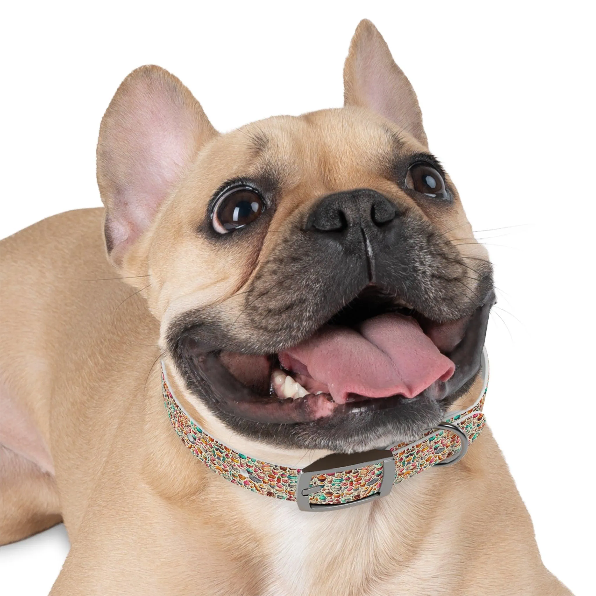 Sugar Rush Designs Dog Collar