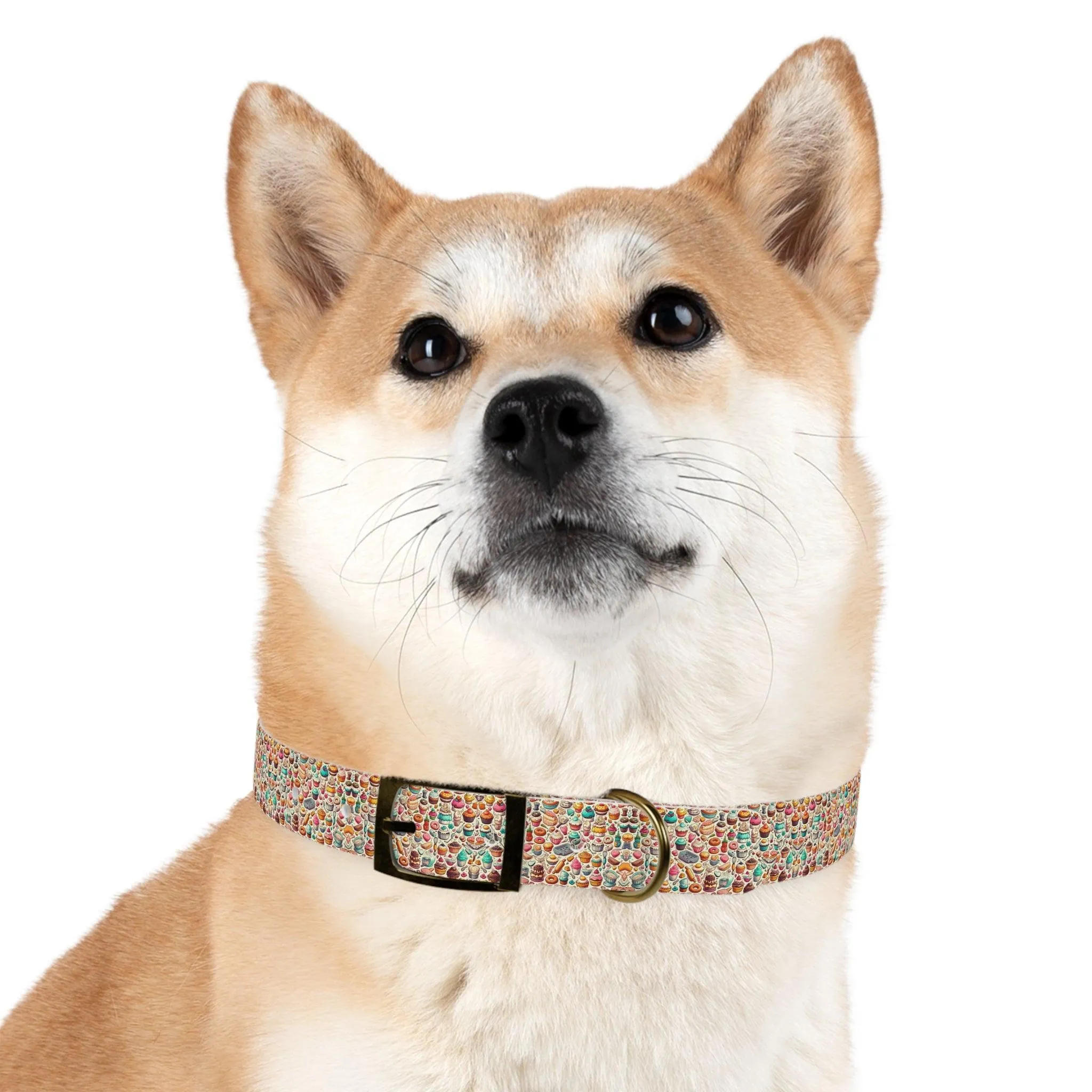 Sugar Rush Designs Dog Collar