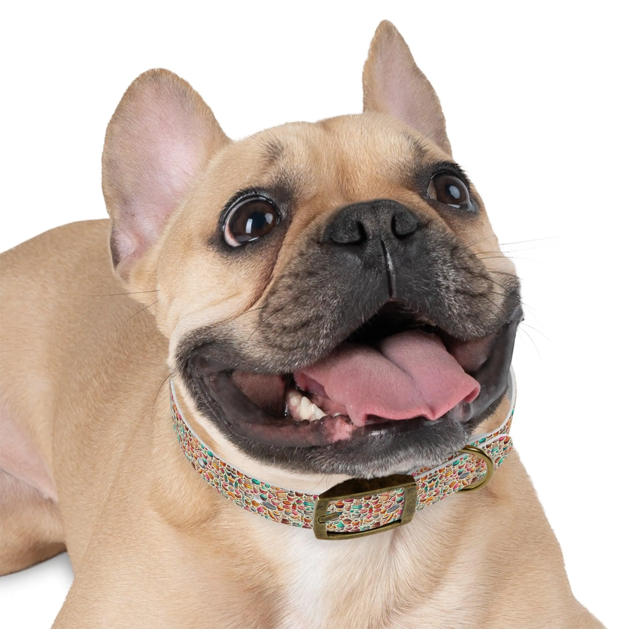 Sugar Rush Designs Dog Collar
