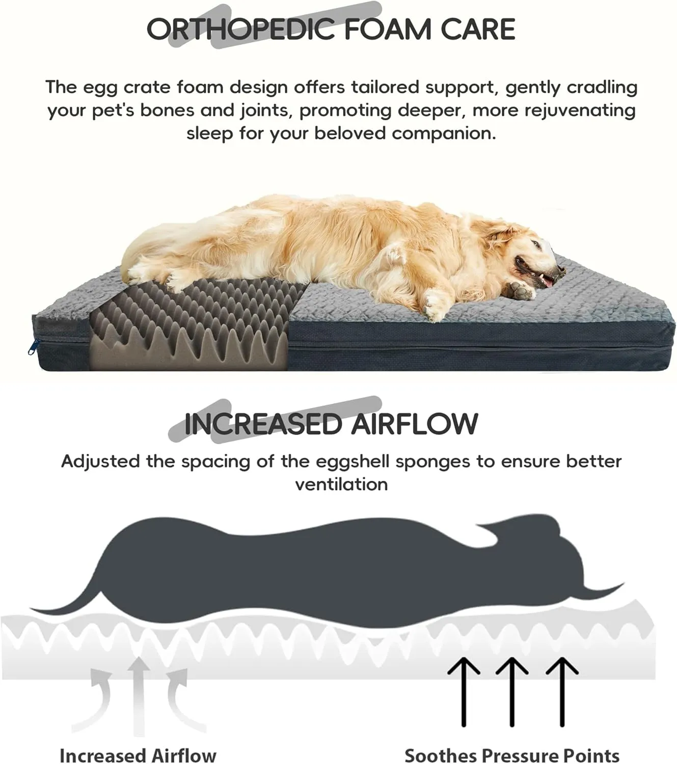 Sytopia Washable XL Dog Bed for Small, Medium, Large Dogs  Double-Sided Plush, Waterproof, Removable Cover, Thick Orthopedic Support, Durable Multi- Size Comfort Clearance Indoor Flat Dog Bed