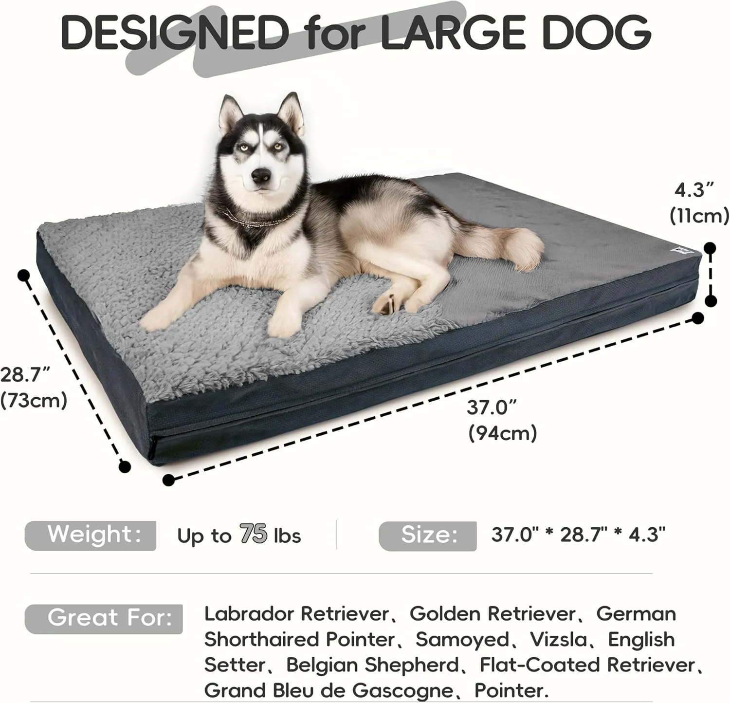 Sytopia Washable XL Dog Bed for Small, Medium, Large Dogs  Double-Sided Plush, Waterproof, Removable Cover, Thick Orthopedic Support, Durable Multi- Size Comfort Clearance Indoor Flat Dog Bed