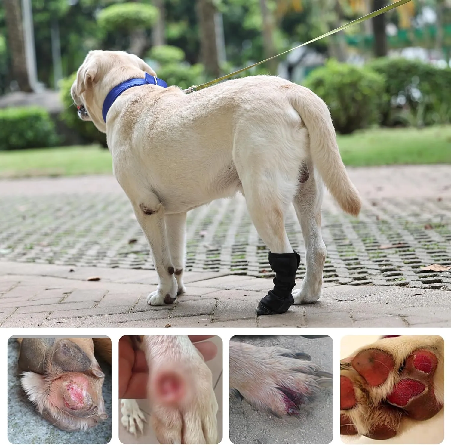 Waterproof Dog Bootie for Injured Paw,Dog Wound Recovery Boot,Anti-Slip Dog Shoe Dog Paw Protector from Licking Wound_L